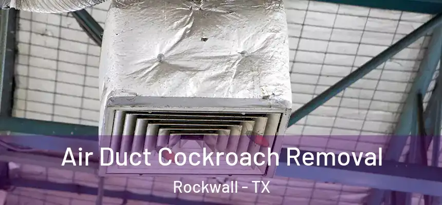  Air Duct Cockroach Removal Rockwall - TX