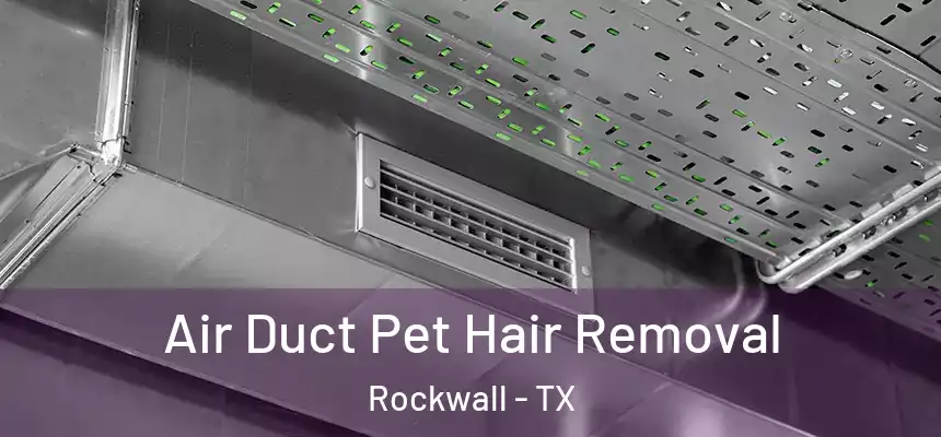  Air Duct Pet Hair Removal Rockwall - TX