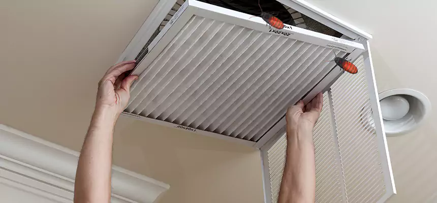 Preventive Cockroach-Proofing for Ducts in Rockwall