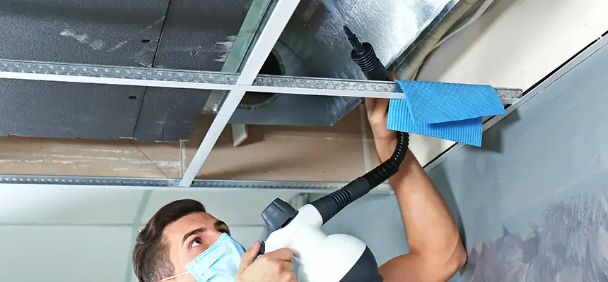 Our Air Duct Rodent Removal Services in Rockwall, TX