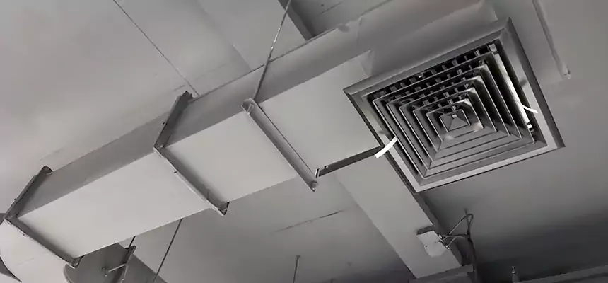 Restorative Allergy Relief Vent Cleaning – Coil, Blower & Housing Detail in Rockwall