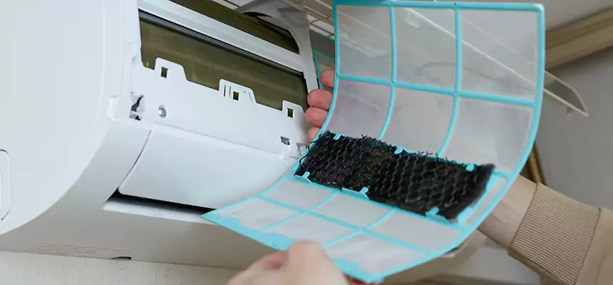 Gentle Ductwork Odor-Control Pet Dander Duct Cleaning in Rockwall, TX