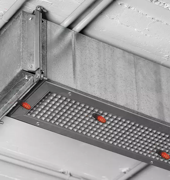 About Air Duct Cockroach Removal in Rockwall, TX
