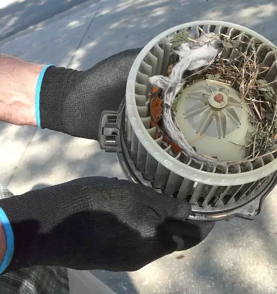 About Air Duct Mice Removal in Rockwall, TX