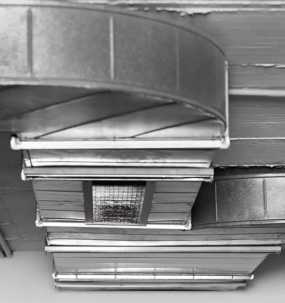 Professional Air Duct Pet Hair Removal in Rockwall, TX