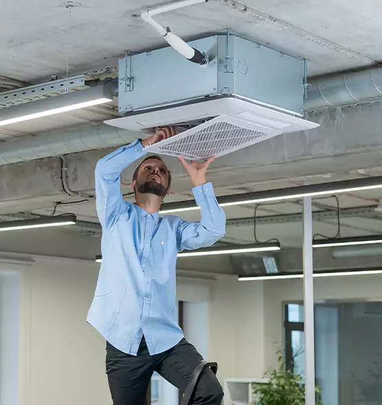 Advanced Rodent Droppings In Vents in Rockwall, TX