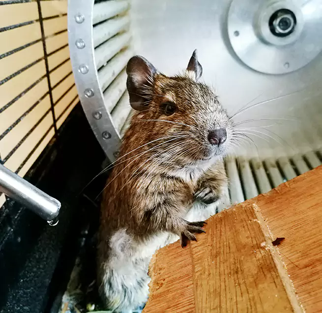 Why Homeowners & Businesses Trust Us Rockwall, TX?