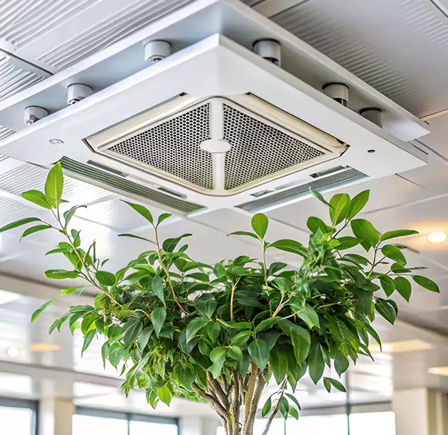 Why Homeowners & Businesses Trust Us in Rockwall, TX